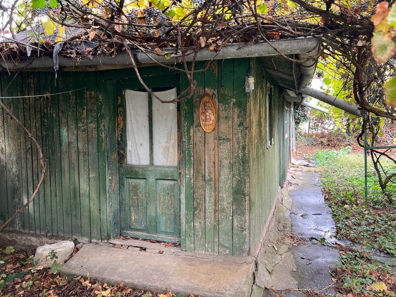 Bucurestii Noi,