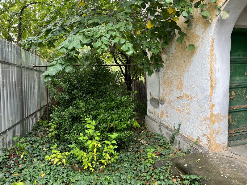 Bucurestii Noi,